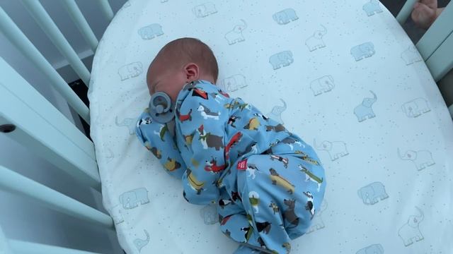 ПЕРВАЯ реакция Маргариты и Наоми на братика сразу после родов мамы! смотреть онлайн