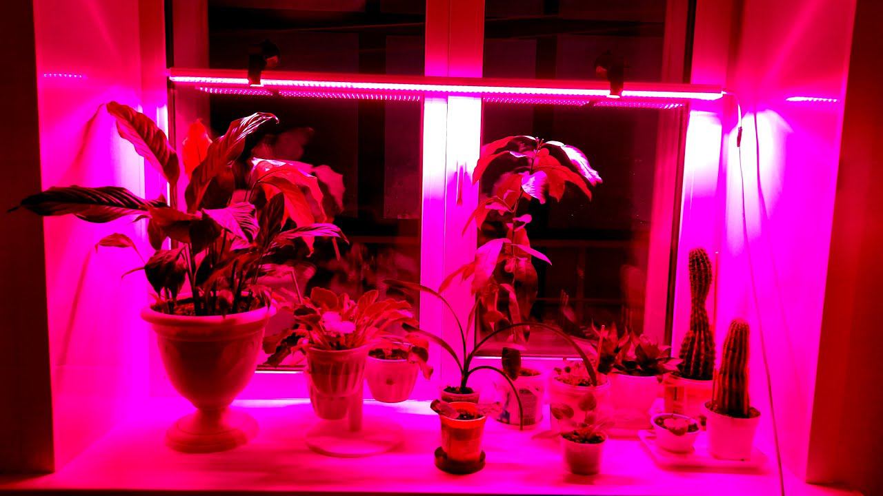 Фитолампа для растений. Как просто установить фитолампу на окне смотреть онлайн