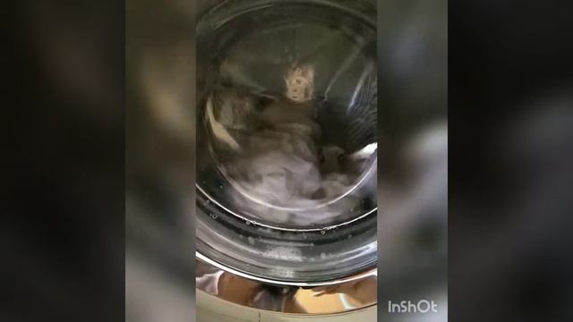 BioTrim - пластины для стирки от GreenWay. Стираем белые вещи. смотреть онлайн