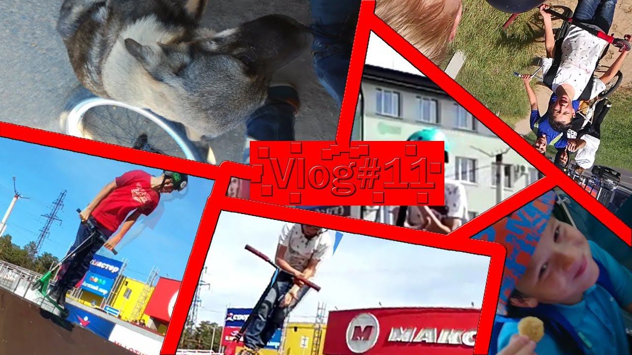 Vlog #11 смотреть онлайн