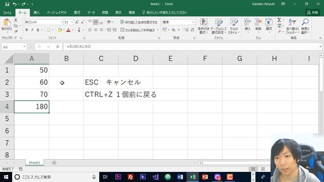 Excel 「CTRL+Z」と「ESC」のショートカットキーの違いについて смотреть онлайн