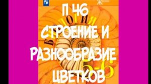 БИОЛОГИЯ 5-6 КЛАСС П 46 СТРОЕНИЕ И РАЗНООБРАЗИЕ ЦВЕТКОВ / ПЕСТИК / ВЕЧНИК / ЧАШЕЧКА /