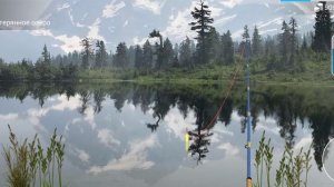 Как и где ловить. Синец# my fishing world