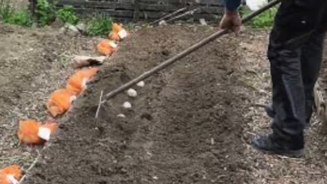 Кеп остуруу сабагы | Жазгы эмгек | Жогорку тайпа смотреть онлайн