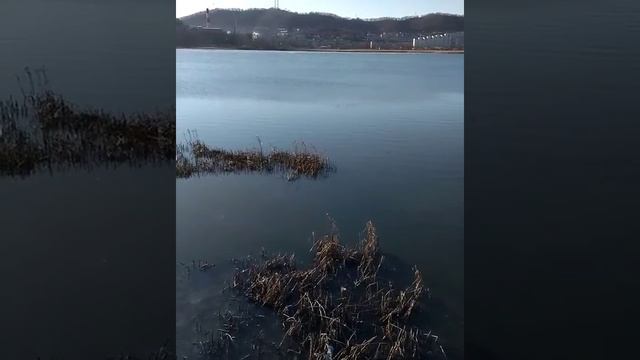 Биоэнергетика / Работа в Находке 2 (480p).mp4 2020г.