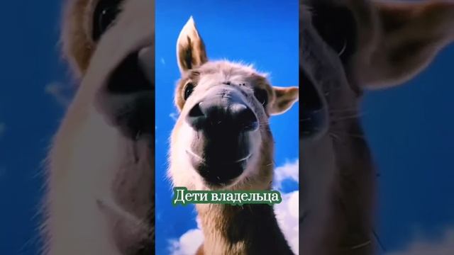 Притча про осла и дьявола смотреть онлайн