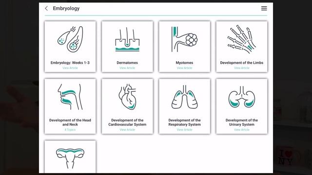 5 FREE apps for Medical Students (for productivity, anatomy & focus) смотреть онлайн
