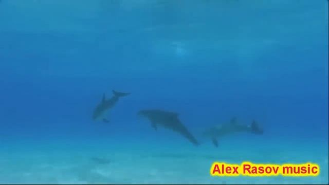 Alex Rasov - Just To Be In Love