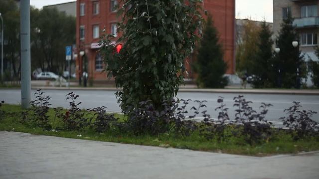 Test russian cinema lens OKS1-75-1 on Canon 5D MarkII camera. смотреть онлайн
