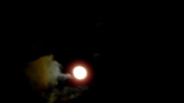 NIKON Coolpix P1000 ?