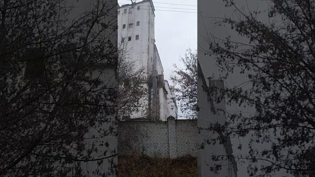 вот что у нас происходит в городе Димитровград, Ульяновской области. смотреть онлайн