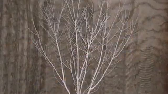 Экскурсия в Соледар смотреть онлайн