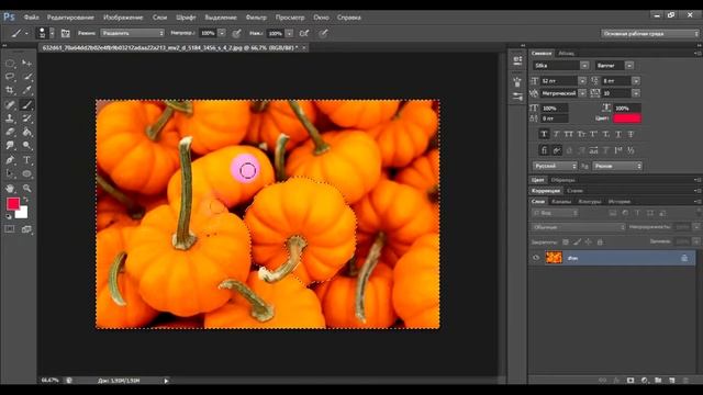 Выделение объекта при помощи быстрой маски в Photoshop смотреть онлайн