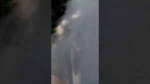 Женщина нанесла телесные повреждения и встала раком