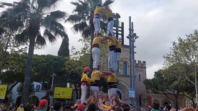 2d6 - DIADA 40 ANYS смотреть онлайн