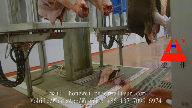 turnkey cattle slaughter house line скота бойню процесс бойню оборудования халяль бойню линии смотреть онлайн