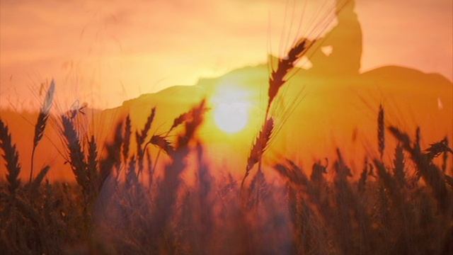 Ночное (музыка Игоря Коровина, стихи Татьяны Хатиной) смотреть онлайн