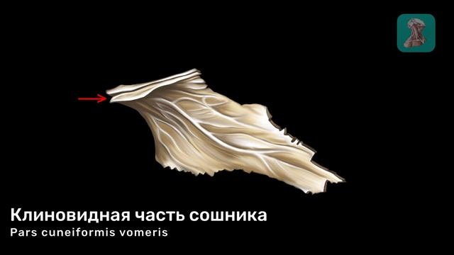Сошник смотреть онлайн