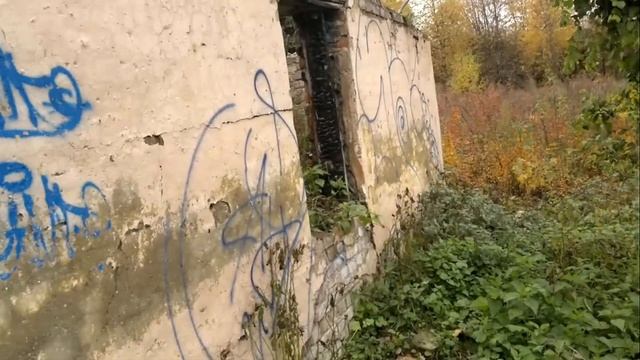 Допотопное Подмосковье и следы гигантов в Домодедово смотреть онлайн