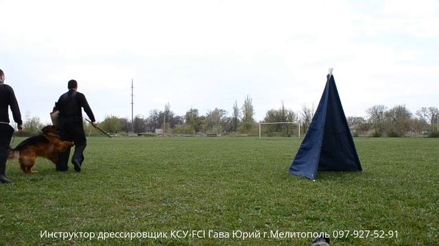 Фант 14.04.16 облайка и др. смотреть онлайн