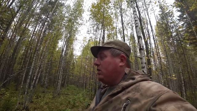 Пробиваюсь к найденным рельсам на каракате по старой ветке УЖД. Металлокоп. Вывожу часть металла смотреть онлайн