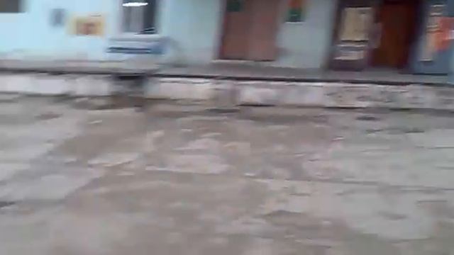 макака смотреть онлайн