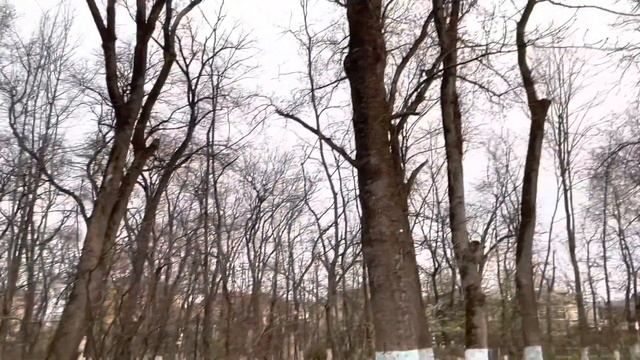 Баку-Кусары.Кц1ар Парк Нариманова смотреть онлайн