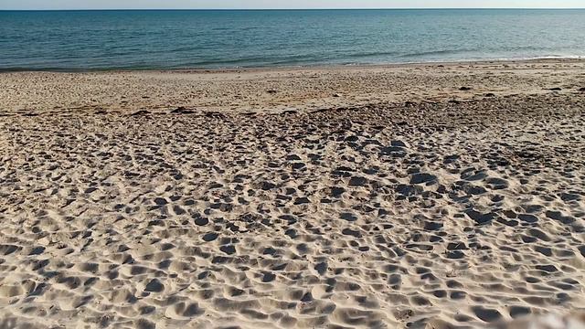 ЧТО ЗНАЧИТ "ЗАСЛУЖИЛИ" - НЕ СОБАКИ ВЕДЬ, ЧТОБЫ ЗАСЛУЖИТЬ 8.06.2020 г. смотреть онлайн