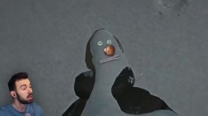 Смешная нарезка с Юджином The Long Dark #7