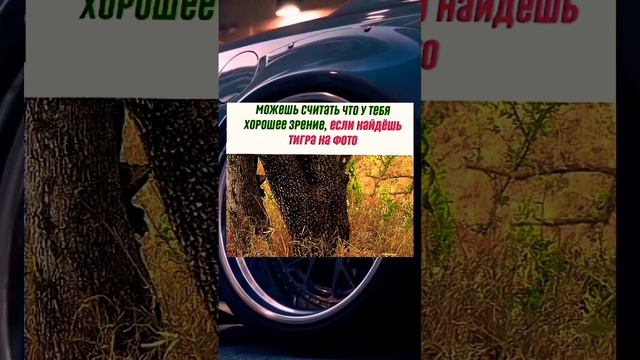 #subscribe #головоломка #shorts /МОЖНШЬ СЧИТАТЬ ЧТОУ ТЕБЯ ХОРОШЕЕ ЗРЕНИЕ, ЕСЛИ НАЙДЁШЬ ТИ7РА НА ФОТ смотреть онлайн
