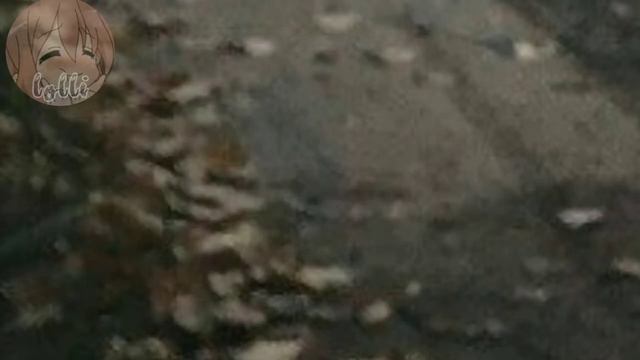 День святого валентина[💫]||Клип||Lolli смотреть онлайн