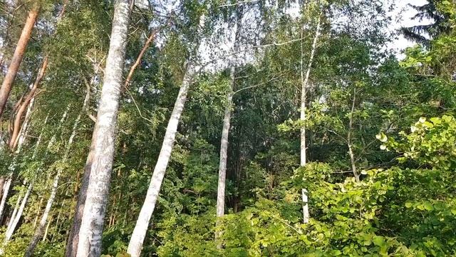 Рыбалка с Ночевкой на Чигиринском Водохранилище. Карась и Подлещик на Фидер. Рыбалка на Карася. смотреть онлайн