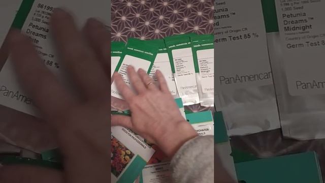 Профсемена для выращивания рассады цветов. Когда сажать ампельную петунью? смотреть онлайн