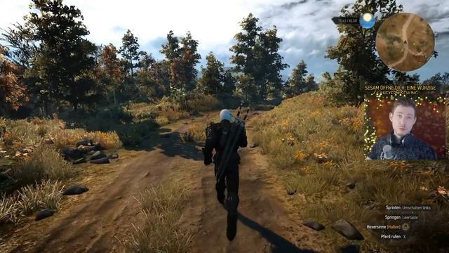 MODDEN in The Witcher 3 - detaillierte Schritt für Schritt Erläuterung - die besten Mods смотреть онлайн