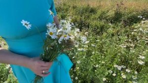 "Даль великая" - песня из к/ф "Любовь земная", слова Р.Рождественского, музыка Е.Птичкина