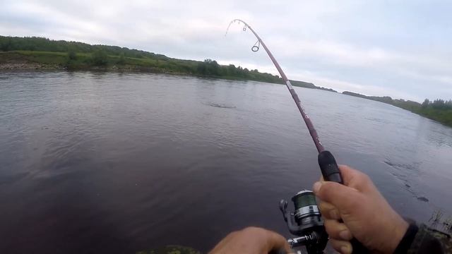 Пулонга - Часть 1