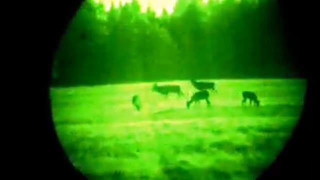 Ревущий олень 4 часть Видео охота www.туризм-сибири.рф смотреть онлайн