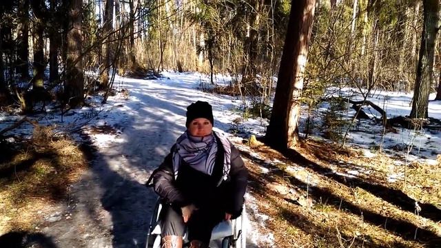 Лес. Орехово-Зуево. Река Большая Дубна. Синицы. Солнечный день. 25.02.2020г. смотреть онлайн