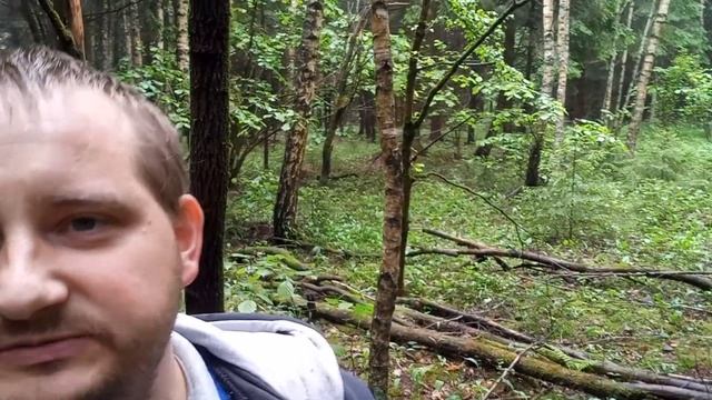 Комары не кусают, тестирую средство от комаров в лесу смотреть онлайн