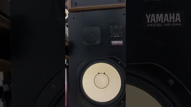 Jazz test - yamaha NS 244 смотреть онлайн