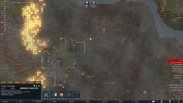 When playing with fire works in RimWorld смотреть онлайн