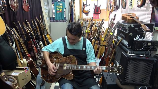 Ibanez AF-105 SM-ABR смотреть онлайн