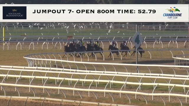 310521 Jump Out 7 смотреть онлайн