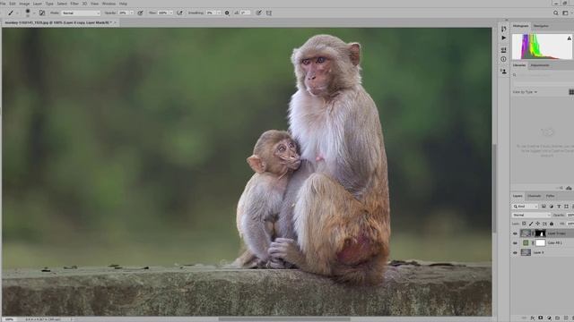 image manipulation in Photoshop CC 2020 смотреть онлайн