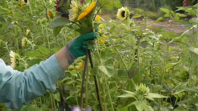 Back To Success? смотреть онлайн