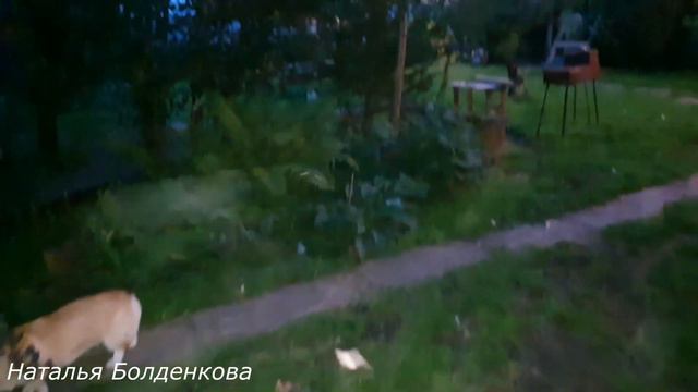 Собираемся уезжать//Что творится на почте!//Хозяйство// смотреть онлайн