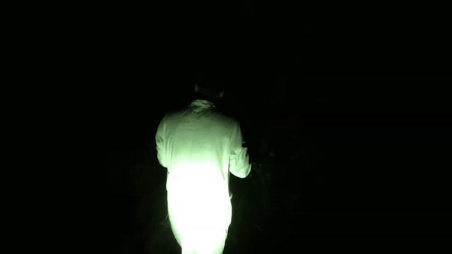Stalker - экспедиция научных сотрудников смотреть онлайн