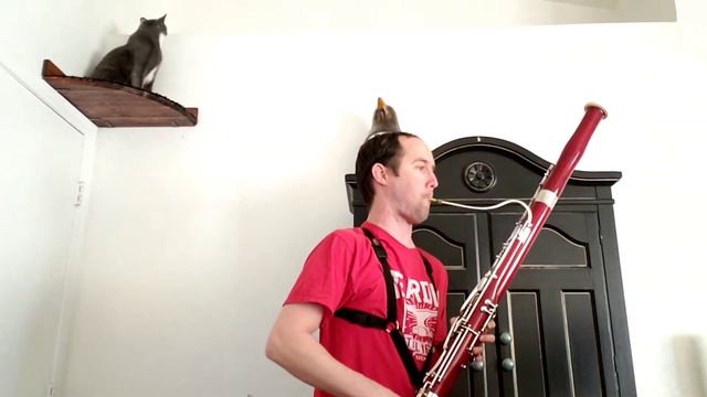 Umberto Bertoni Bassoon Etude No. 9 from Twelve Studies смотреть онлайн