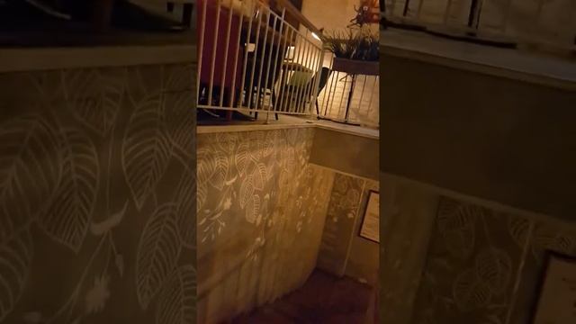 Ищу дровяную печь ? looking for a wood stove смотреть онлайн