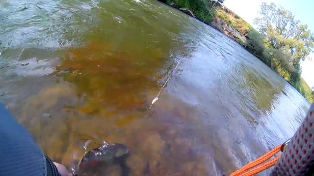 Голавль атакует 11. Ловля голавля на спиннинг. смотреть онлайн